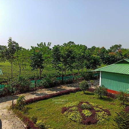 Grasshopper Jungle Queen Resort Chālsa Exterior photo