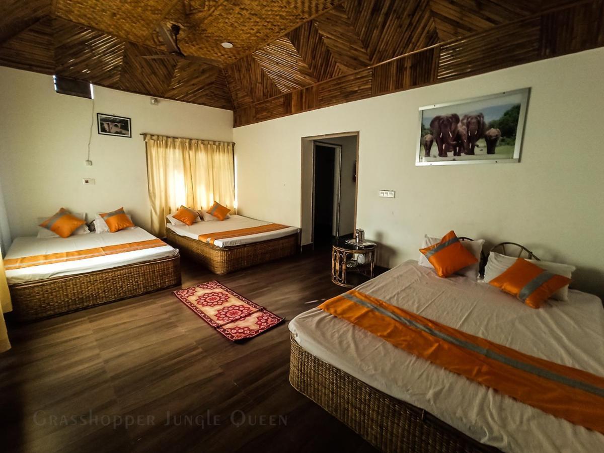 Grasshopper Jungle Queen Resort Chālsa Exterior photo