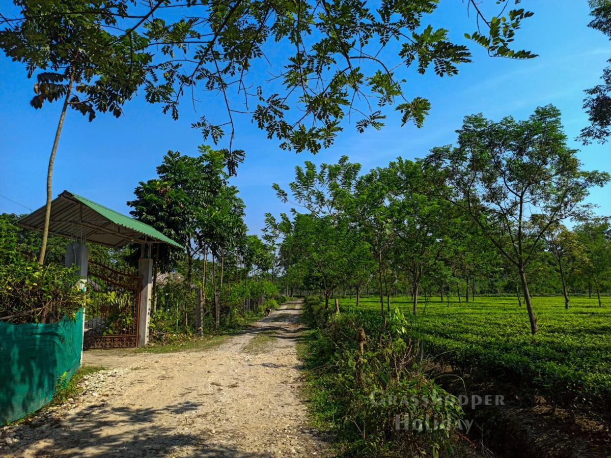 Grasshopper Jungle Queen Resort Chālsa Exterior photo