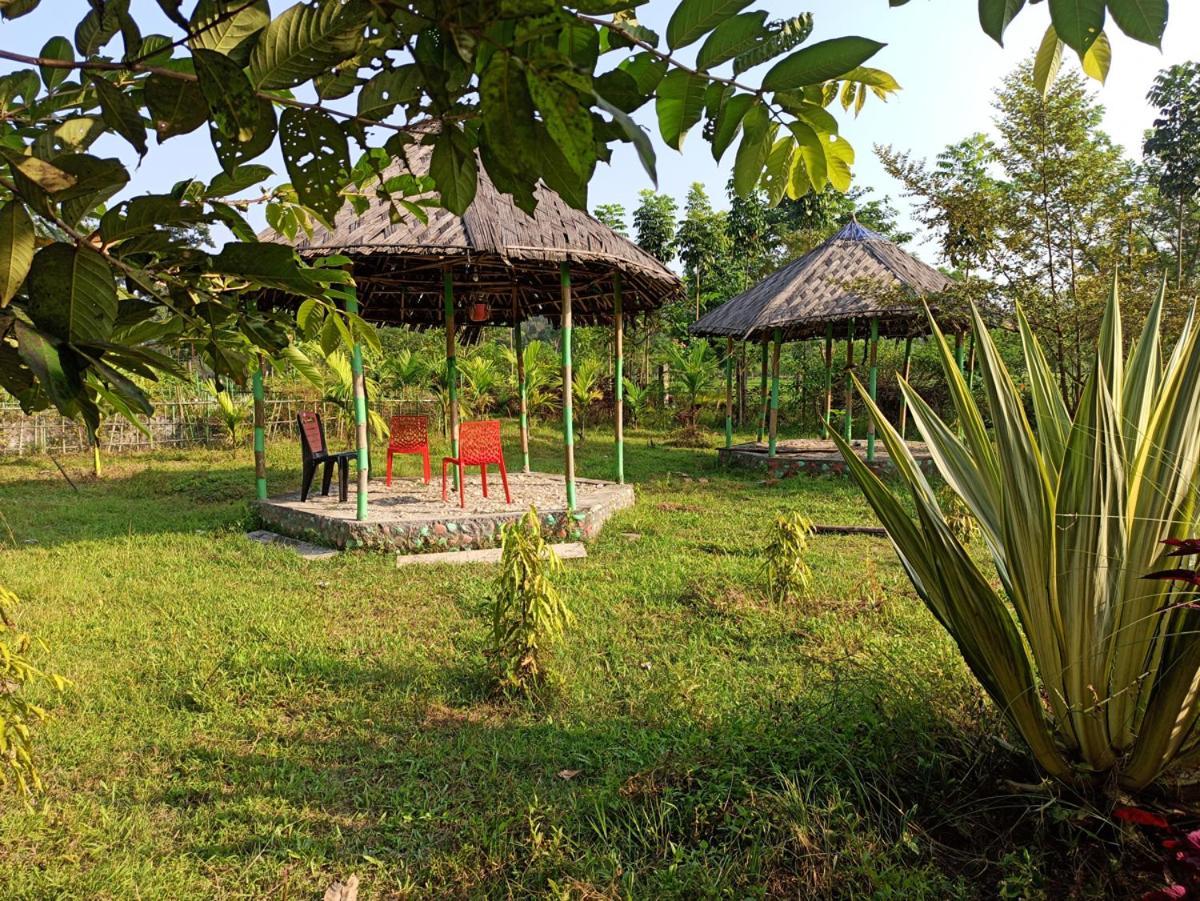 Grasshopper Jungle Queen Resort Chālsa Exterior photo