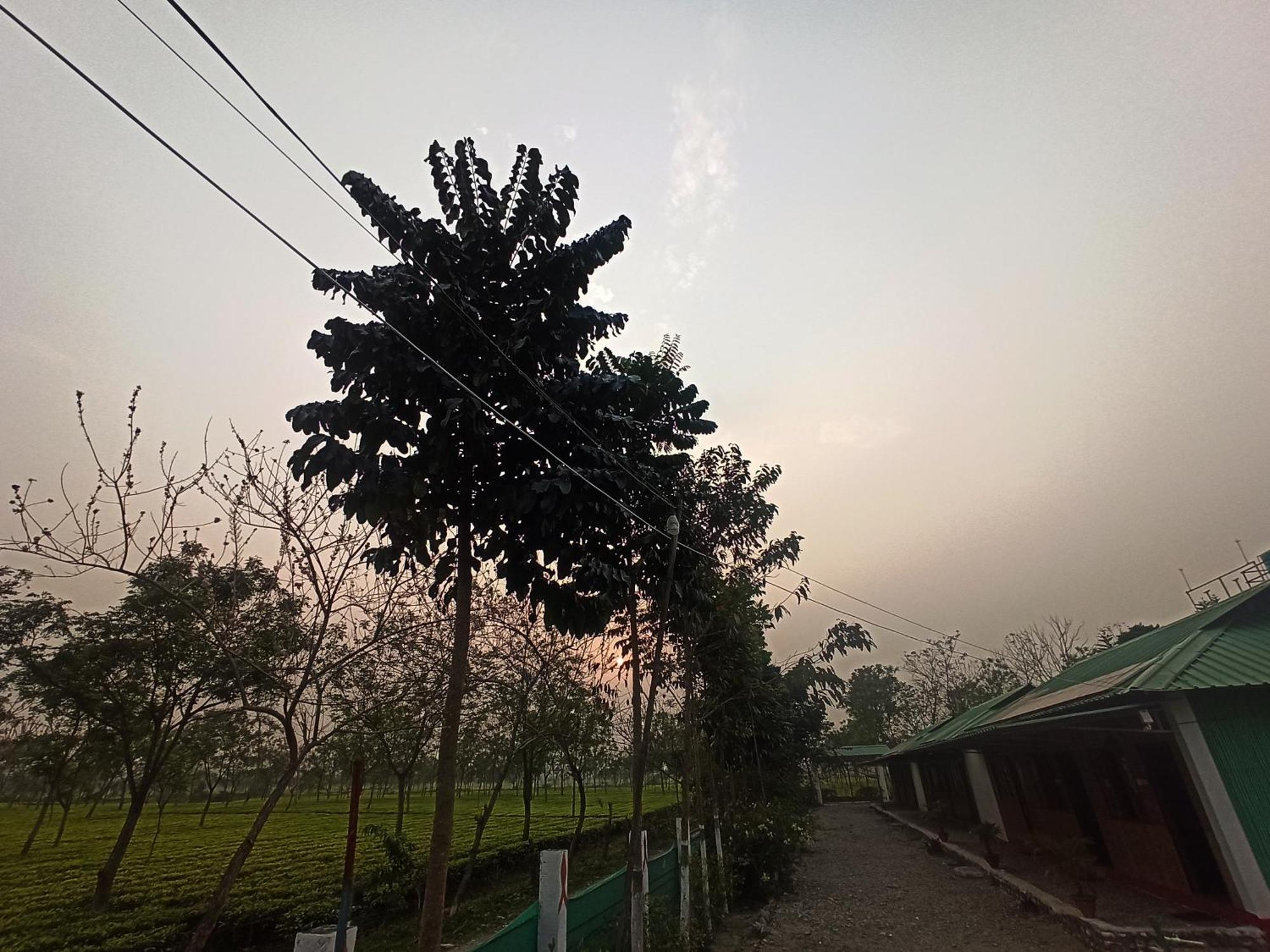Grasshopper Jungle Queen Resort Chālsa Exterior photo