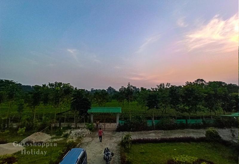 Grasshopper Jungle Queen Resort Chālsa Exterior photo