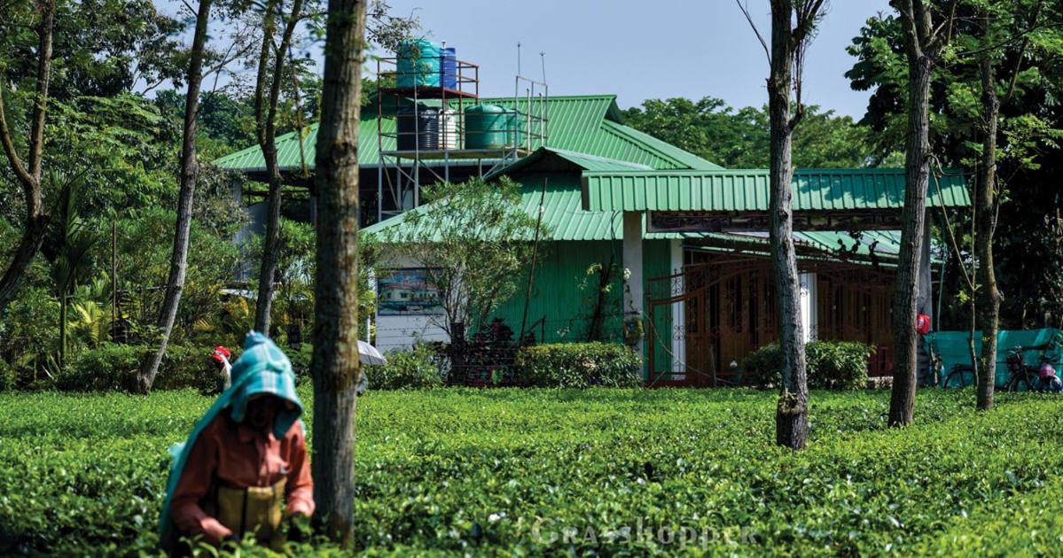 Grasshopper Jungle Queen Resort Chālsa Exterior photo